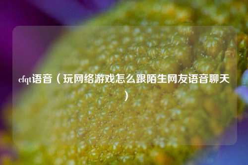 cfqt语音（玩网络游戏怎么跟陌生网友语音聊天）