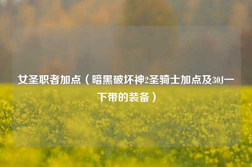 女圣职者加点（暗黑破坏神2圣骑士加点及30J一下带的装备）