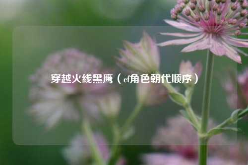 穿越火线黑鹰（cf角色朝代顺序）