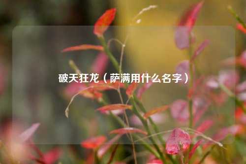 破天狂龙（萨满用什么名字）