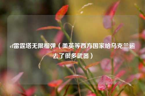 cf雷霆塔无限榴弹（美英等西方国家给乌克兰运去了很多武器）