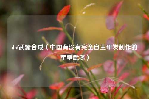 dnf武器合成（中国有没有完全自主研发制作的军事武器）