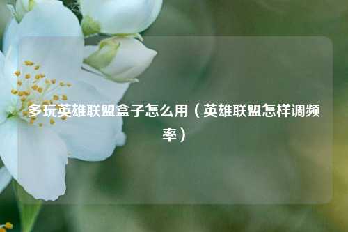 多玩英雄联盟盒子怎么用（英雄联盟怎样调频率）