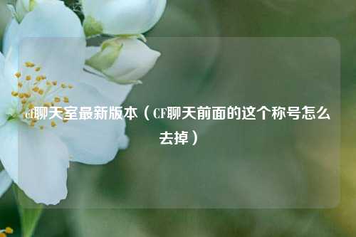 cf聊天室最新版本（CF聊天前面的这个称号怎么去掉）