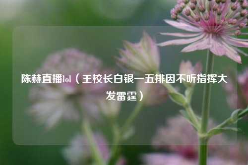 陈赫直播lol（王校长白银一五排因不听指挥大发雷霆）