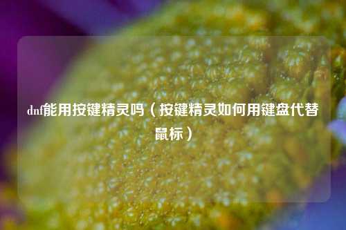 dnf能用按键精灵吗（按键精灵如何用键盘代替鼠标）