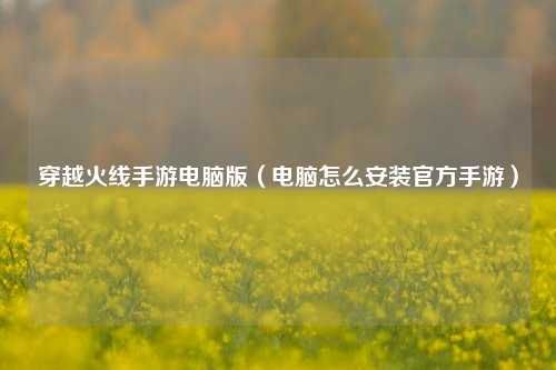 穿越火线手游电脑版（电脑怎么安装官方手游）