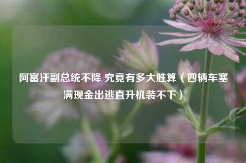 阿富汗副总统不降 究竟有多大胜算（四辆车塞满现金出逃直升机装不下）