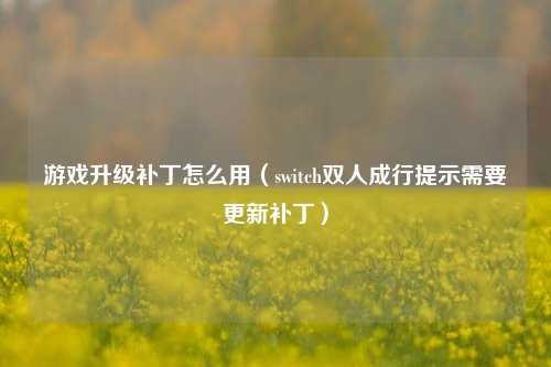 游戏升级补丁怎么用（switch双人成行提示需要更新补丁）