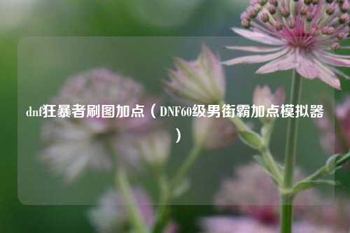 dnf狂暴者刷图加点（DNF60级男街霸加点模拟器）