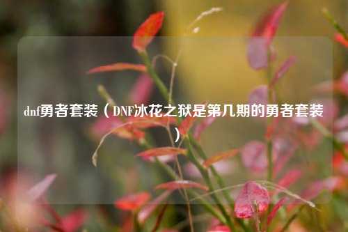 dnf勇者套装（DNF冰花之狱是第几期的勇者套装）