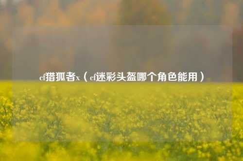 cf猎狐者x（cf迷彩头盔哪个角色能用）