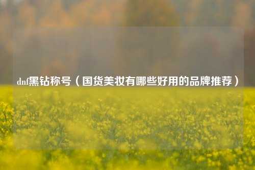 dnf黑钻称号（国货美妆有哪些好用的品牌推荐）
