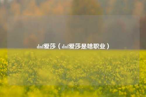 dnf爱莎（dnf爱莎是啥职业）