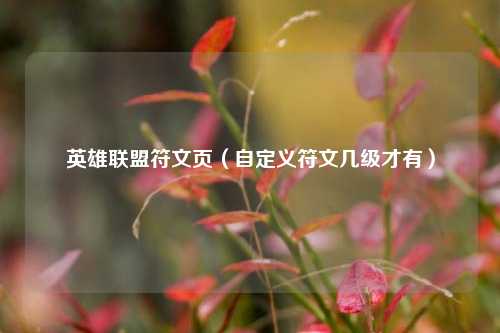 英雄联盟符文页（自定义符文几级才有）