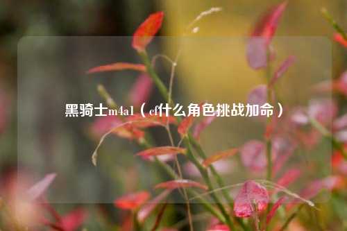 黑骑士m4a1（cf什么角色挑战加命）