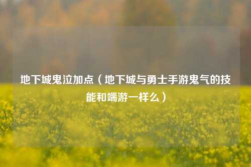 地下城鬼泣加点（地下城与勇士手游鬼气的技能和端游一样么）