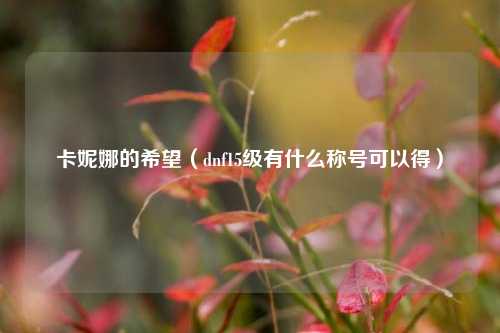 卡妮娜的希望（dnf15级有什么称号可以得）