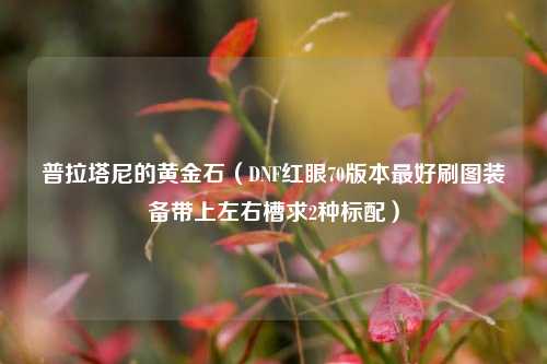 普拉塔尼的黄金石（DNF红眼70版本最好刷图装备带上左右槽求2种标配）