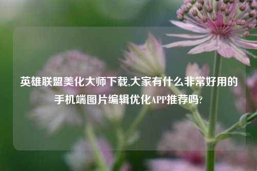 英雄联盟美化大师下载,大家有什么非常好用的手机端图片编辑优化APP推荐吗?