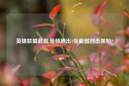 英雄联盟截图,帝师晒出1张截图回击黑粉?