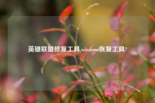 英雄联盟修复工具,windows恢复工具?