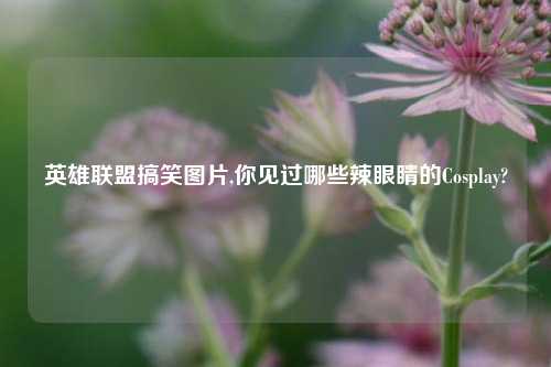 英雄联盟搞笑图片,你见过哪些辣眼睛的Cosplay?