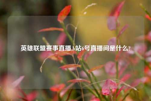 英雄联盟赛事直播,b站6号直播间是什么?