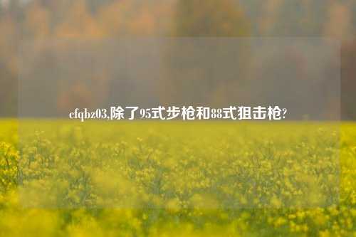 cfqbz03,除了95式步枪和88式狙击枪?