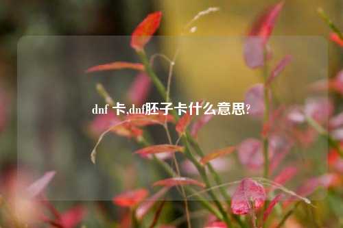 dnf 卡,dnf胚子卡什么意思?