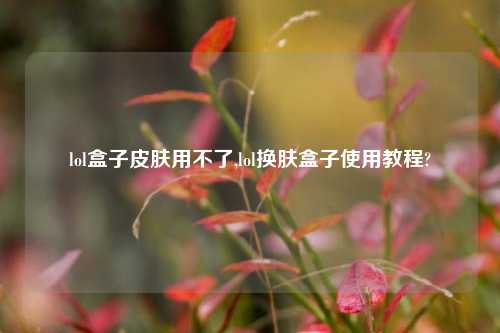 lol盒子皮肤用不了,lol换肤盒子使用教程?