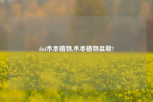 dnf木本植物,木本植物盆栽?