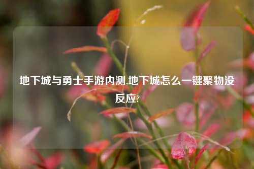 地下城与勇士手游内测,地下城怎么一键聚物没反应?