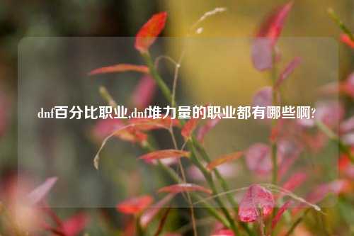 dnf百分比职业,dnf堆力量的职业都有哪些啊?