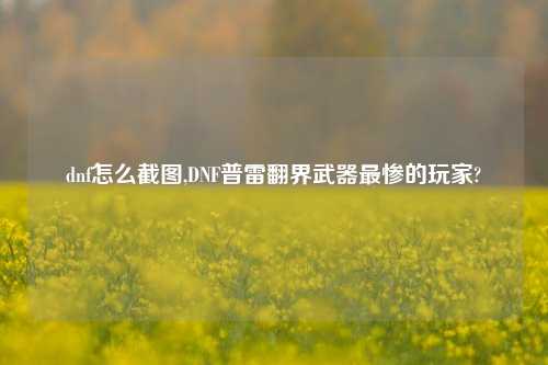 dnf怎么截图,DNF普雷翻界武器最惨的玩家?