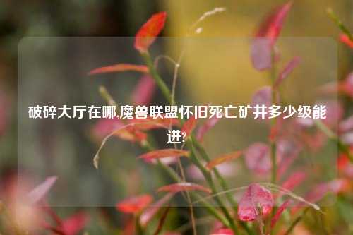 破碎大厅在哪,魔兽联盟怀旧死亡矿井多少级能进?