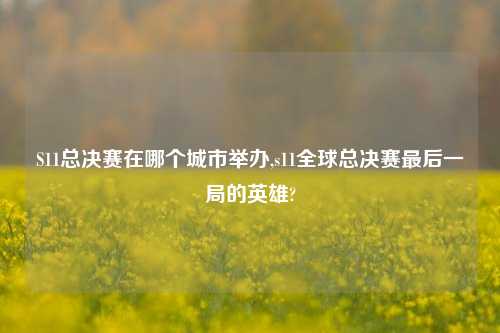S11总决赛在哪个城市举办,s11全球总决赛最后一局的英雄?