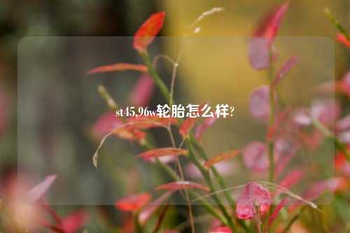 st45,96w轮胎怎么样?