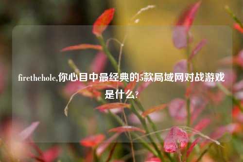 firethehole,你心目中最经典的5款局域网对战游戏是什么?