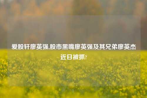爱股轩廖英强,股市黑嘴廖英强及其兄弟廖英杰近日被抓?