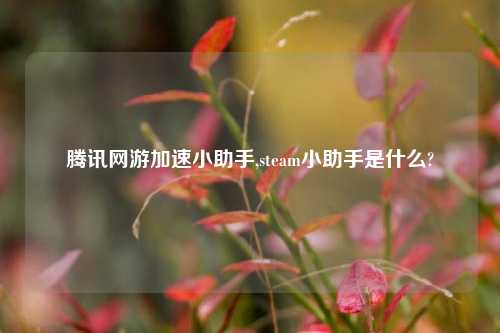 腾讯网游加速小助手,steam小助手是什么?