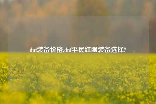 dnf装备价格,dnf平民红眼装备选择?