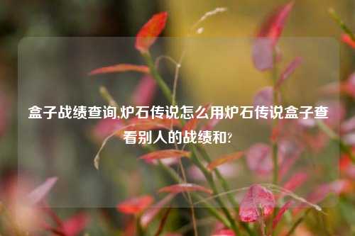盒子战绩查询,炉石传说怎么用炉石传说盒子查看别人的战绩和?