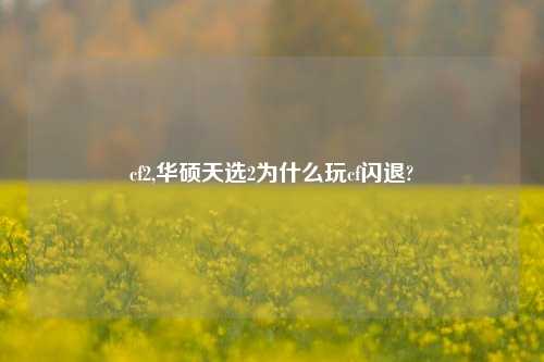 cf2,华硕天选2为什么玩cf闪退?