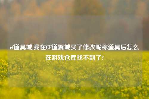 cf道具城,我在CF道聚城买了修改昵称道具后怎么在游戏仓库找不到了?