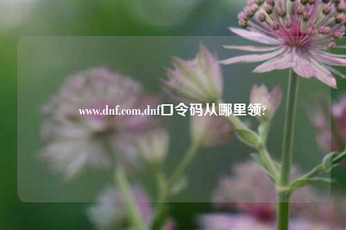 www.dnf.com,dnf口令码从哪里领?