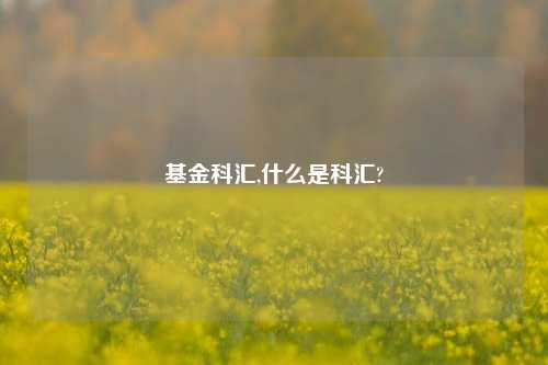 基金科汇,什么是科汇?