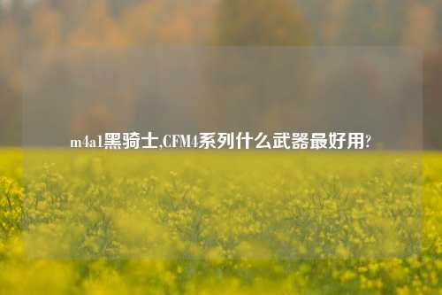 m4a1黑骑士,CFM4系列什么武器最好用?