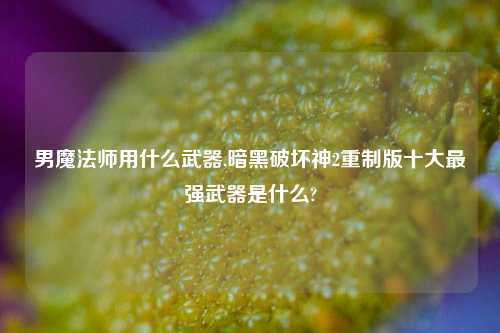 男魔法师用什么武器,暗黑破坏神2重制版十大最强武器是什么?