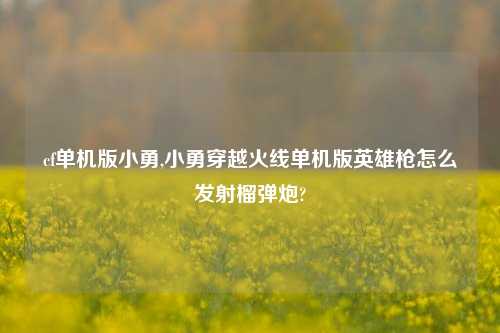 cf单机版小勇,小勇穿越火线单机版英雄枪怎么发射榴弹炮?